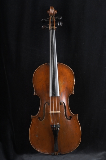 Violi 6001 02