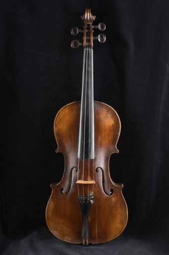 Violi 6002 02