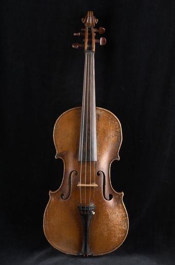 Violi 6005 01