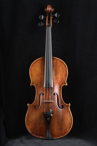 Violi 6007 02