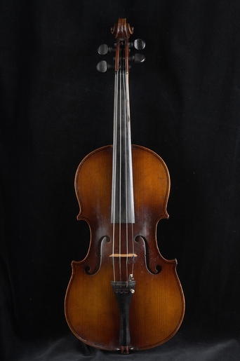 Violi 6020 01