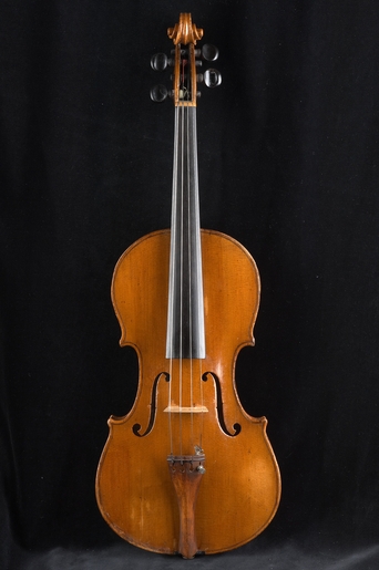 Violi 6021 01