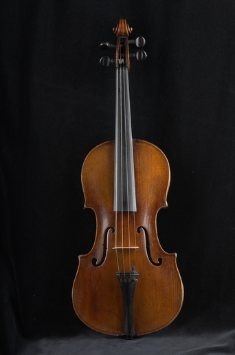 Violi 6023 02